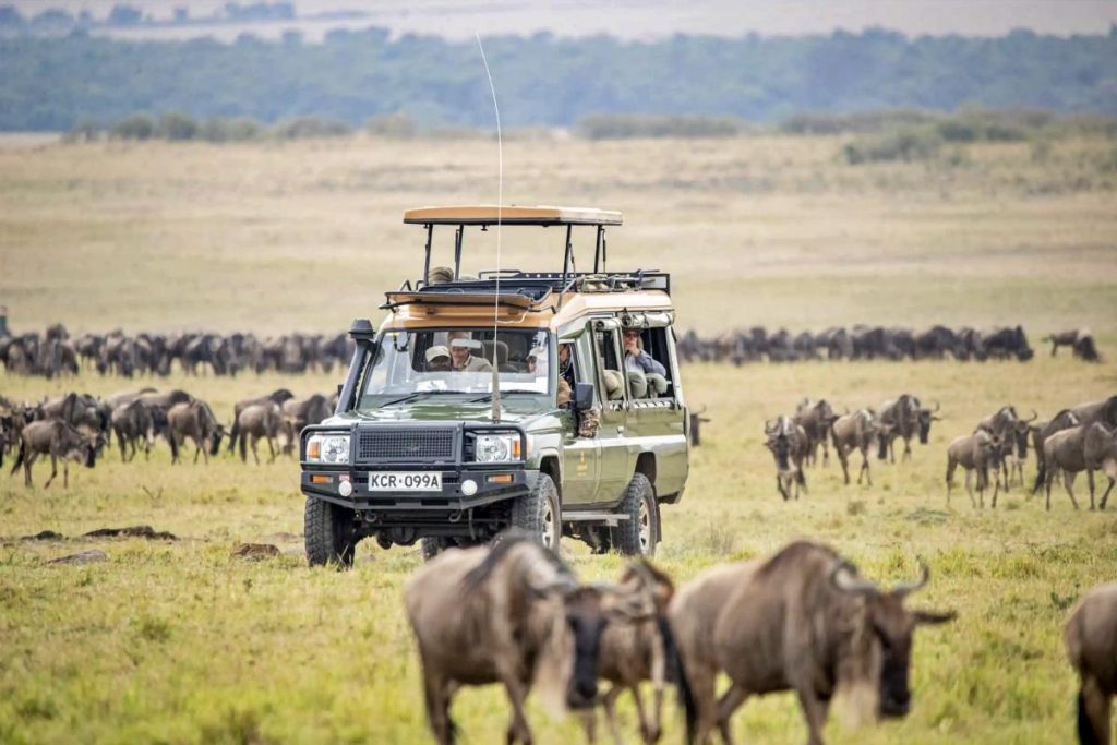 Silverbird Travel Safari Vehicle